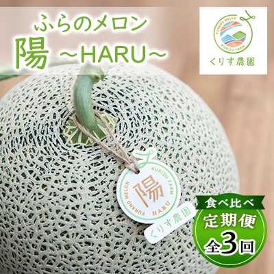 【発送月固定定期便】食べ比べ!ふらのメロン「陽 ～HARU～」大玉　1玉(赤肉)　富良野メロン全3回