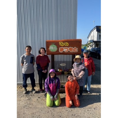 【美味‼秋のメロン】富良野メロン(レッド113)赤肉(2.0～2.5kg)1玉入　糖度15度以上