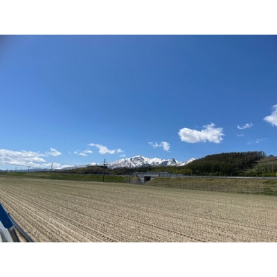 富良野産　富良野メロン(レッド113U)　赤肉4玉入(内容量8kg)糖度15度以上