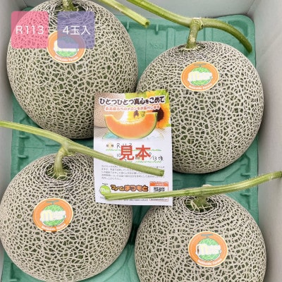 【2026年発送】美味!秋の富良野メロン(レッド113)赤肉 4玉入(内容量8kg)糖度15度以上