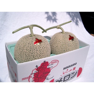 富良野メロン大玉　赤肉メロン(2kg×2玉)計4kg