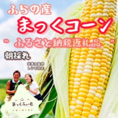 【先行受付】【8月より順次発送】北海道 富良野産 まっくコーン(スイートコーン)10本+1本付き!