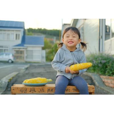 【発送月固定定期便】北海道富良野市で大人気のお野菜全2回
