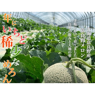 【2025年度出荷　のし付き】富良野メロン(赤肉)秀品キングルビー2.0kg/2玉入