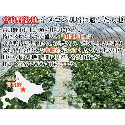 【2025年度発送　のし付き】富良野メロン(赤肉)秀品キングルビー1.8kg/2玉入