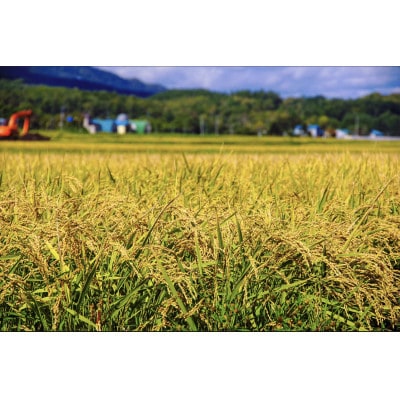 令和7年産　北海道富良野産「ゆめぴりか」精米5kg