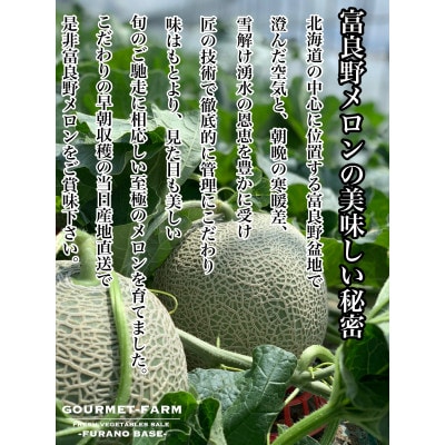 富良野メロン秀品4玉か5玉　1玉/約1.6kg～1.8kg入　8kg箱