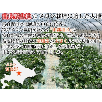 富良野メロン(赤肉)夏ギフト秀品2玉 1.8kg/2玉入