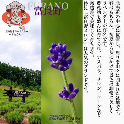 【2025年出荷】「贅沢セットC」北海道富良野産赤肉メロン 1玉/とうもろこし4本詰め合わせ