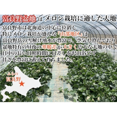 富良野メロン(赤肉)秀品キングルビー2.0kg/2玉入