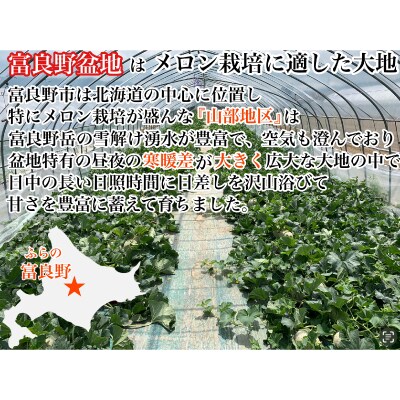 【2025年度出荷　のし付き】富良野メロン(赤肉)夏ギフト秀品4玉入1.8kg～