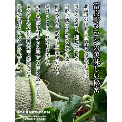 富良野メロン(赤肉)秀品ティアラ2.0kg/2玉入