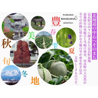 富良野メロン秀品TAIYO NO SHIZUKU 太陽の雫 1.8kg/2玉入