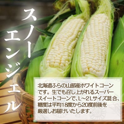 食べ比べホワイトコーンとイエローコーン朝採り当日発送富良野産よくばりセット合計10本