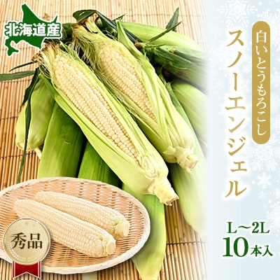 白いとうもろこし「スノーエンジェル」北海道富良野産 L～2L 10本入
