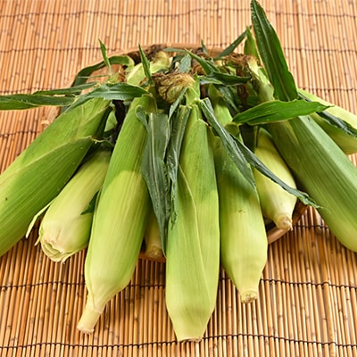 白いとうもろこし「スノーエンジェル」北海道富良野産 L~2L 10本入