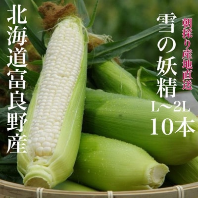 【2025年出荷】朝採り 白いとうもろこし「雪の妖精」秀品 北海道富良野産 L～2L 10本入