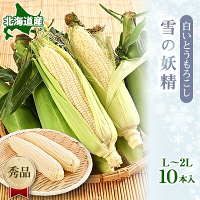 朝採り 白いとうもろこし「雪の妖精」秀品 北海道富良野産 L~2L 10本入