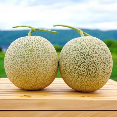 富良野メロン(赤肉)化粧箱と品種お任せ約1.3kg～2玉入