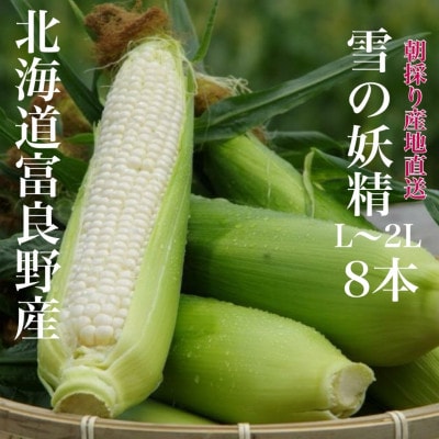 【2025年出荷】朝採り白いとうもろこし「雪の妖精」北海道富良野産 L～2L 8本入
