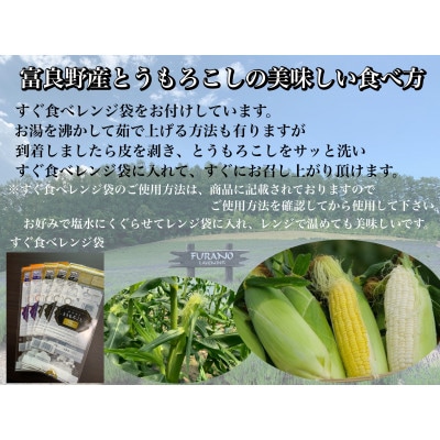 【2025年出荷】朝採り白いとうもろこし「雪の妖精」北海道富良野産 L～2L 8本入