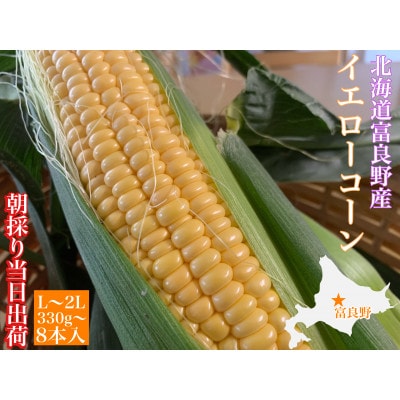 【2025年出荷】朝採り とうもろこし 北海道富良野産 L～2L 8本入