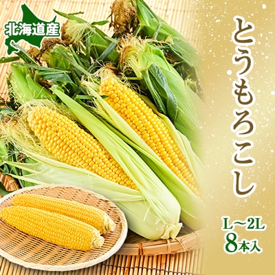 朝採り とうもろこし 北海道富良野産 L~2L 8本入