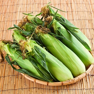 朝採り とうもろこし 北海道富良野産 L~2L 8本入