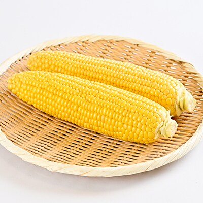 朝採り とうもろこし 北海道富良野産 L~2L 8本入