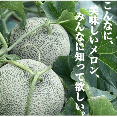 2024秋出荷秋メロン富良野産R-113メロン2玉入