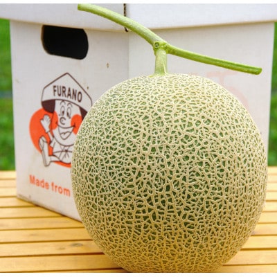 富良野メロン1.3kg～1,5kg1玉入り