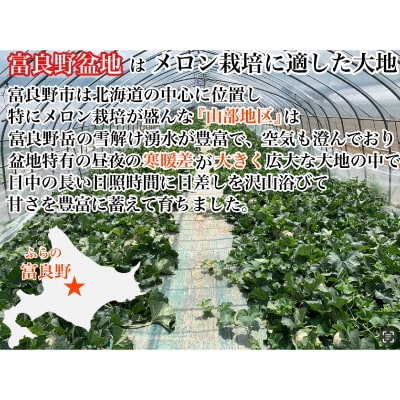 【2026年発送　先行受付】富良野メロン(赤肉) 夏ギフト 大玉秀品 2.0kg以上×2玉入計4kg