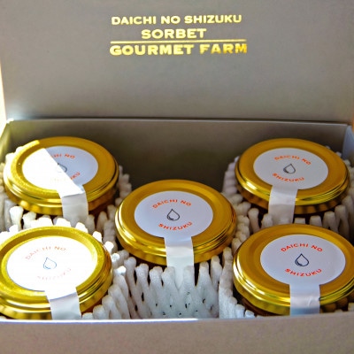 ふらのメロンソルベ DAICHI NO SHIZUKU 5個入