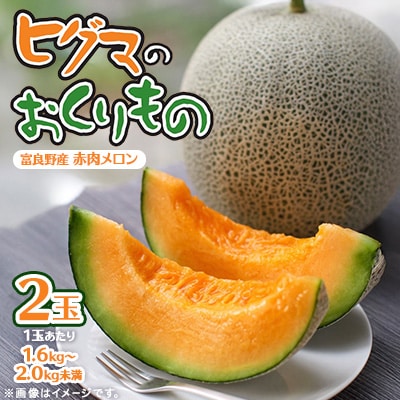 【2026年発送先行受付】ヒグマのおくりもの 富良野メロン (赤肉)2玉 計3.2㎏以上