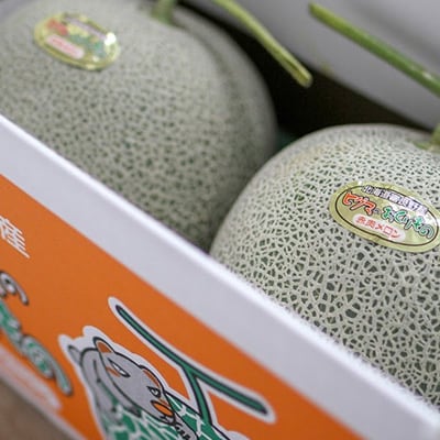 【2026年発送先行受付】ヒグマのおくりもの 富良野メロン (赤肉)2玉 計3.2㎏以上