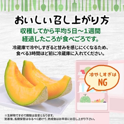 【2026年発送先行受付】【訳あり】 富良野メロン 2玉(1玉あたり2kg以上)