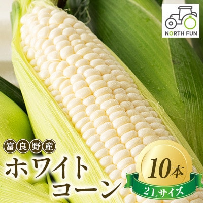 【発送月固定定期便】ヒグマのおくりもの 赤肉メロン(1玉)・ホワイトショコラ(2L×10本)全2回