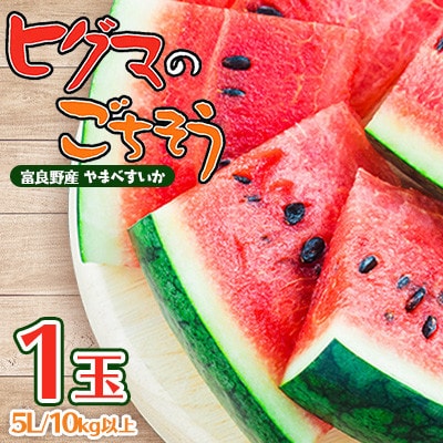 【発送月固定定期便】ヒグマのおくりもの 赤肉メロン・ヒグマのごちそう すいか 各1玉全2回