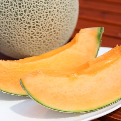 【発送月固定定期便】ヒグマのおくりもの 赤肉メロン・ヒグマのごちそう すいか 各1玉全2回