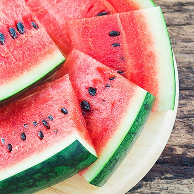 【発送月固定定期便】ヒグマのおくりもの 赤肉メロン・ヒグマのごちそう すいか 各1玉全2回