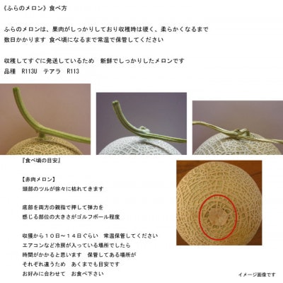 ふらのメロン赤肉　秀大2kg以上×4玉(計8kg以上)