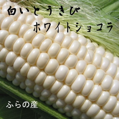 【2025年発送先行受付】【数量・期間】ふらの産　ホワイト　とうきび　10本　サイズ2L　