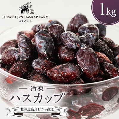冷凍ハスカップ　1kg
