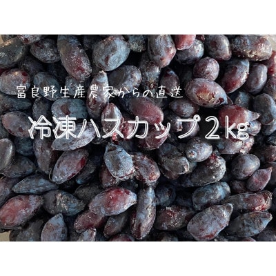 冷凍ハスカップ　2kg
