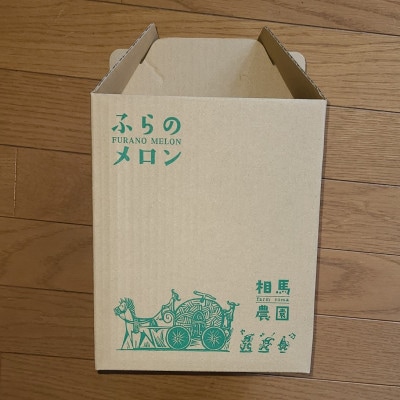 ふらのメロン 1玉(約1.7kg～2kg)赤肉メロン 農家直送 フルーツ 北海道富良野産〈相馬農園〉