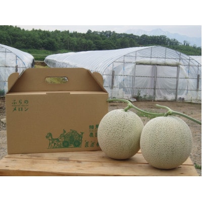 ふらのメロン 2玉(1玉約1.7kg～2kg)赤肉メロン農家直送フルーツ 北海道富良野産〈相馬農園〉