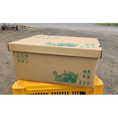 ふらのメロン 3玉(1玉約1.7kg～2kg)赤肉メロン農家直送フルーツ 北海道富良野産〈相馬農園〉