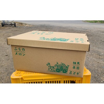 ふらのメロン 4～6玉 約8㎏ 赤肉メロン 農家直送 フルーツ 北海道富良野産〈相馬農園〉