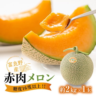 糖度16度以上!!【富良野産　赤肉メロン】1玉入り　