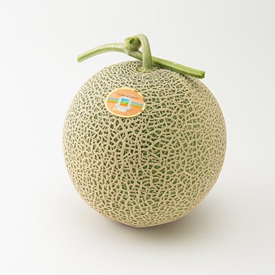 糖度16度以上!!大玉【富良野産　赤肉メロン】2玉入り　1.8kg×2玉